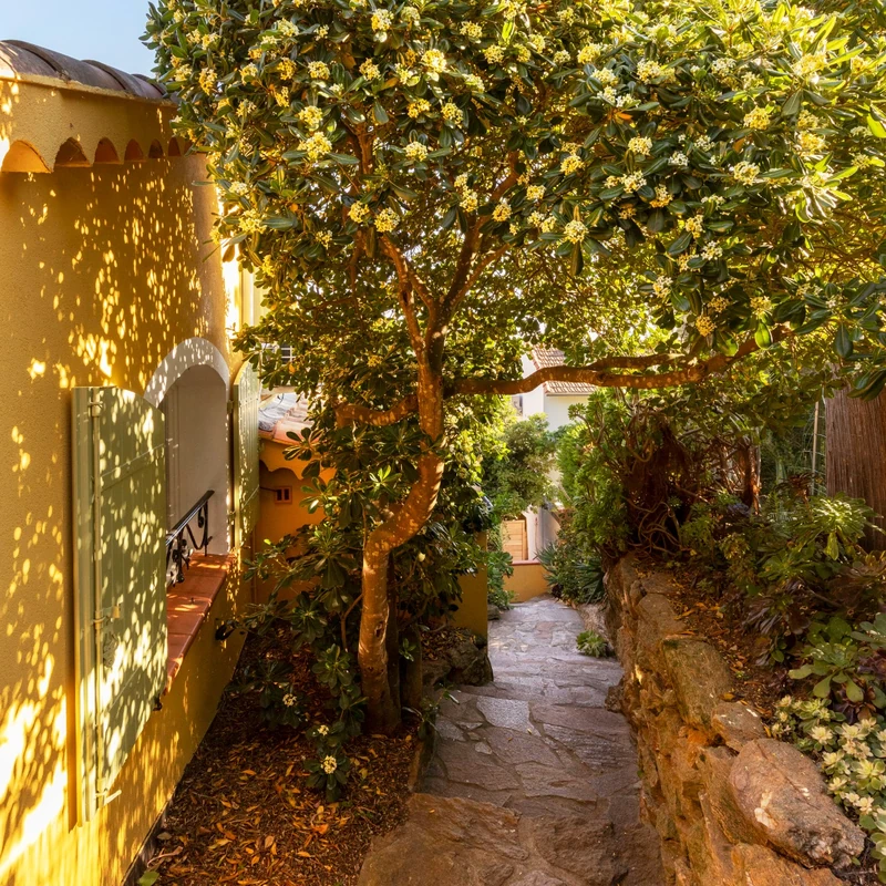 Allée en pente sous les arbres du jardin