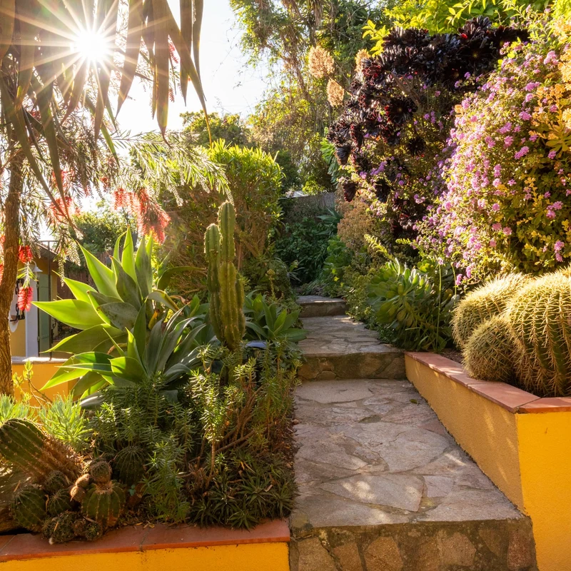 Escalier entre les massifs du jardin