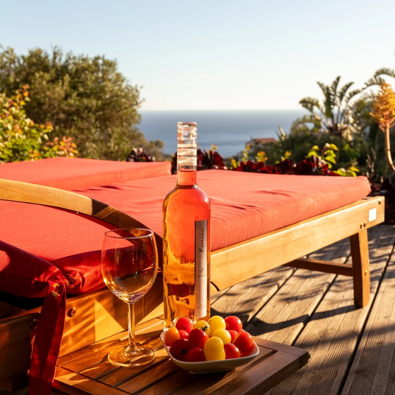 Espace de détente avec transats et vue sur la mer