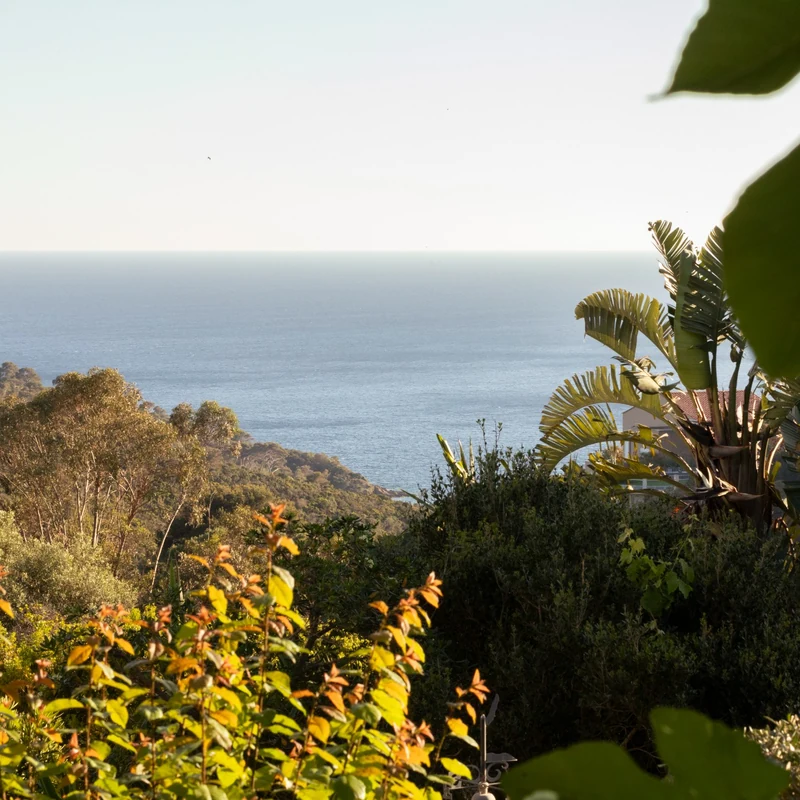 Vue mer depuis le jardin tropical de la Villa Cabo Verde