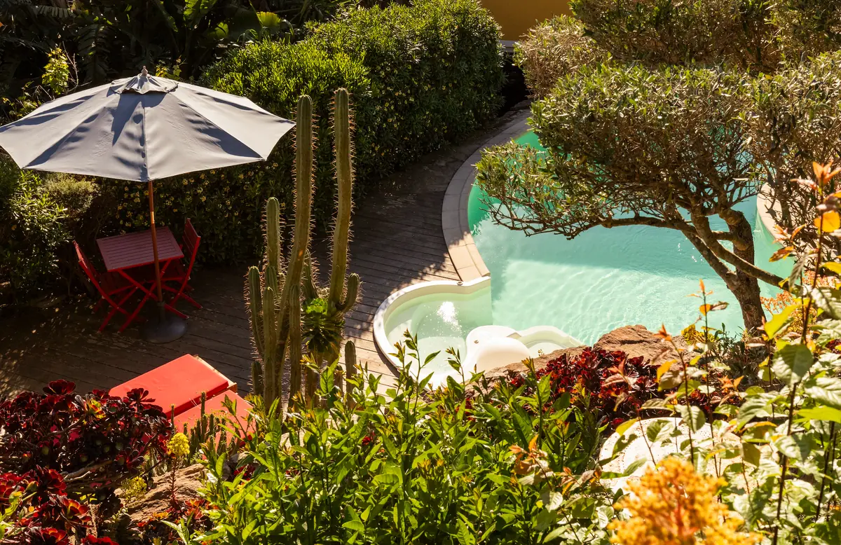 Vue plongeante sur la piscine et le jardin exotique